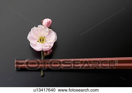Stock Image - Chopsticks and a plum blossom. Fotosearch