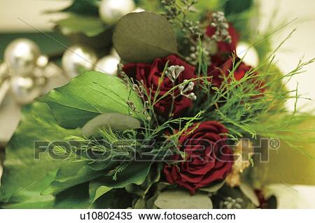 Stock Photography - Christmas flower decorations. Fotosearch
