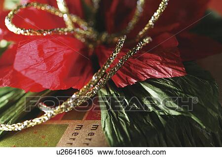 Stock Photography - Christmas present. Fotosearch