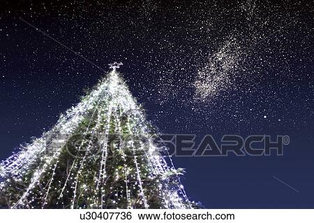 Stock Photograph - Christmas tree under night sky. Fotosearch
