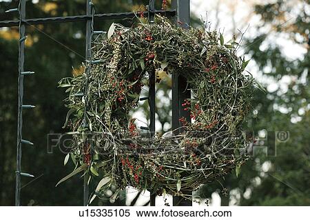 Christmas wreath View Large Photo Image Stock Photography - Christmas wreath. Fotosearch