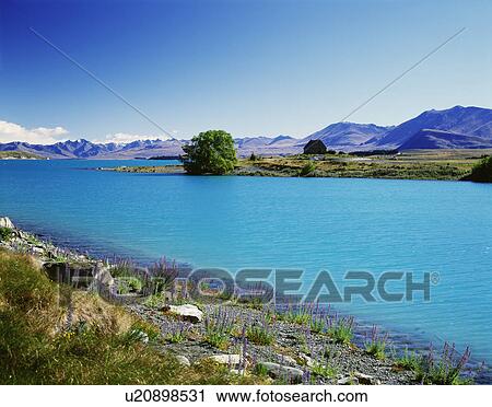 Church of the Good Shepherd. Lake Tekapo, New Zealand View Large Photo Image Stock Image - Church of the Good Shepherd. Lake Tekapo, New Zealand. Fotosearch