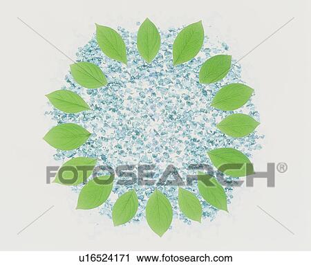 Circle of leaves View Large Photo Image Stock Image - Circle of leaves. Fotosearch
