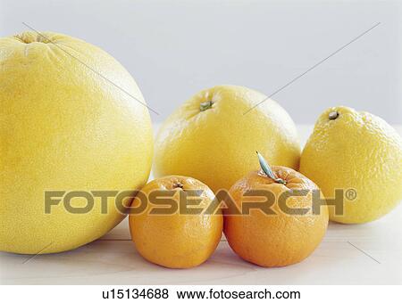 Stock Photo - Citrus fruits. Fotosearch