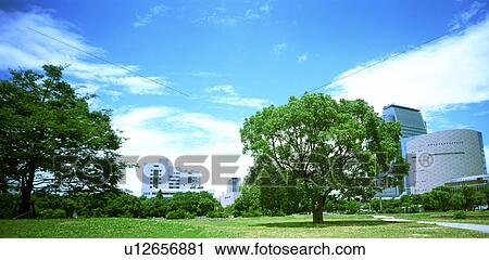 Stock Image - City park. Fotosearch
