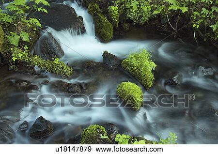 Stock Photo - Clear stream, Kitashiobara-son, Fukushima Prefecture, Japan. Fotosearch