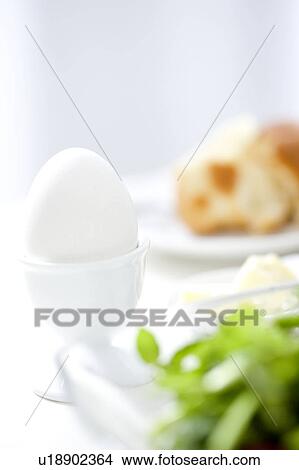 Close-up of a boiled egg View Large Photo Image Picture - Close-up of a boiled egg. Fotosearch