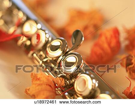 Close-up of a flute and autumn leaves View Large Photo Image Stock Image - Close-up of a flute and autumn leaves. Fotosearch