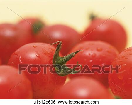 Stock Photograph - Close-up of wet cherry tomato. Fotosearch