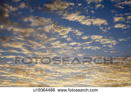 Clouds glowing in an evening sky View Large Photo Image Stock Photograph - Clouds glowing in an evening sky. Fotosearch