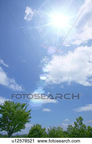 Stock Image - Clouds in blue sky above treetops. Fotosearch