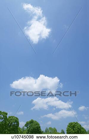 Clouds in sky above treetops View Large Photo Image Stock Photo - Clouds in sky above treetops. Fotosearch
