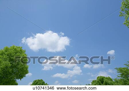 Stock Photograph - Clouds in sky above treetops. Fotosearch