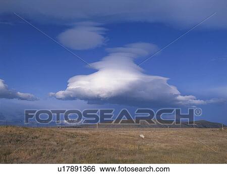Clouds. South Island, New Zealand View Large Photo Image Stock Photograph - Clouds. South Island, New Zealand. Fotosearch