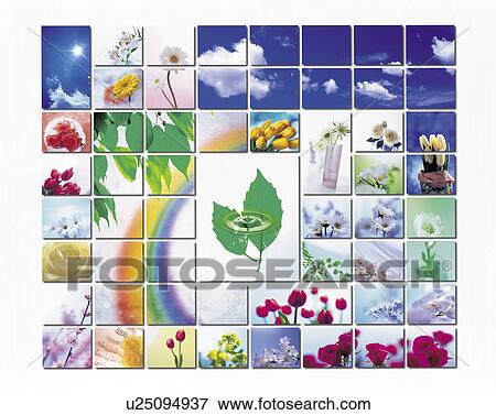 Stock Photo - Collage with rainbows, leaves and flowers. Fotosearch