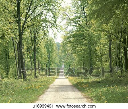 Stock Image - Country road. Fotosearch