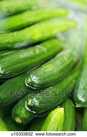 Cucumbers View Large Photo Image Stock Image - Cucumbers. Fotosearch