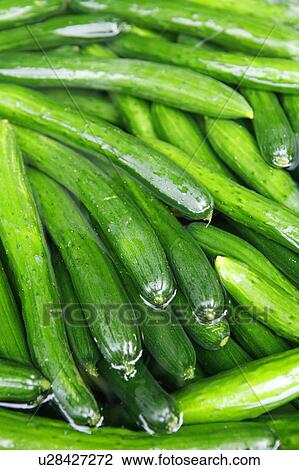Cucumbers View Large Photo Image Stock Image - Cucumbers. Fotosearch