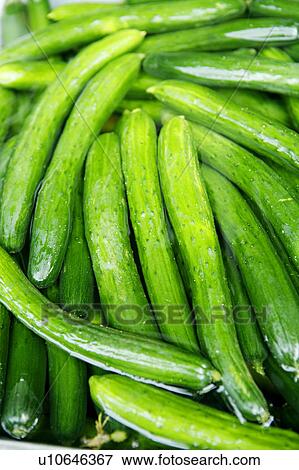 Stock Photo - Cucumbers. Fotosearch