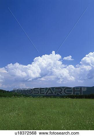 Stock Photo - Cumulonimbus cloud and field, Germany. Fotosearch