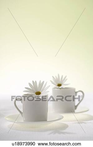 Stock Image - Daisies in coffee cups. Fotosearch