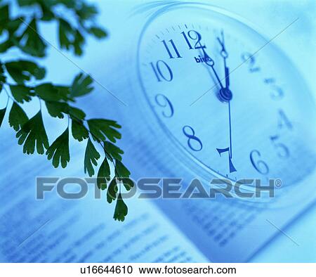 Digital composite of leafy branch, book and clock View Large Photo Image Stock Image - Digital composite of leafy branch, book and clock. Fotosearch