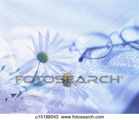 Digital composition of a book and glasses with maguerite flowers View Large Photo Image Stock Image - Digital composition of a book and glasses with maguerite flowers. Fotosearch