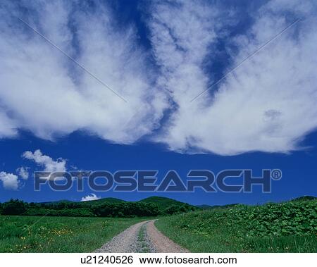 Dirt road through lush green landscape, Iwanai-machi, Hokkaido, Japan View Large Photo Image Stock Photograph - Dirt road through lush green landscape, Iwanai-machi, Hokkaido, Japan. Fotosearch