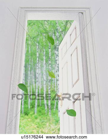 Door View Large Photo Image Picture - Door. Fotosearch