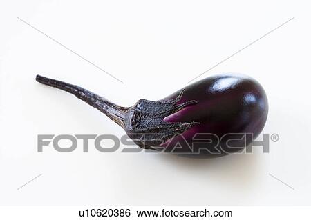 Stock Photograph - Eggplant. Fotosearch