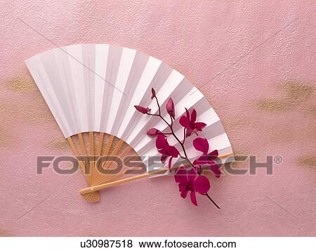 Fan and orchid View Large Photo Image Stock Photo - Fan and orchid. Fotosearch
