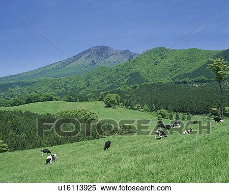 Farm, Tochigi Prefecture, Honshu, Japan View Large Photo Image Stock Photography - Farm, Tochigi Prefecture, Honshu, Japan. Fotosearch