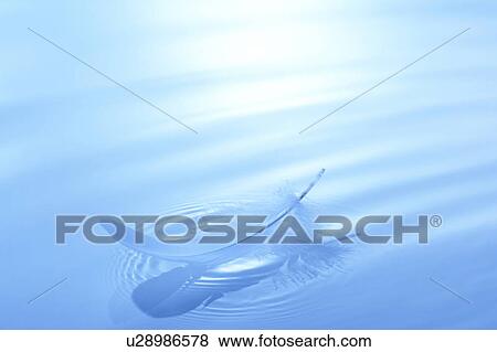 Stock Photo - Feather floating on water surface, blue background. Fotosearch