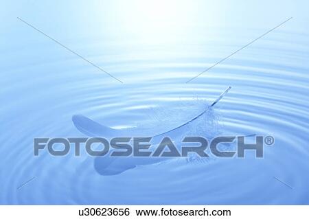 Stock Photograph - Feather floating on water surface, blue background. Fotosearch