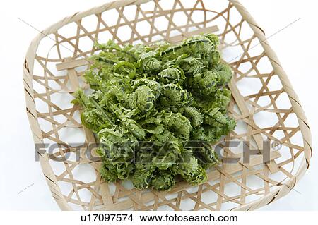 Fiddlehead greens in a bamboo basket View Large Photo Image Picture - Fiddlehead greens in a bamboo basket. Fotosearch