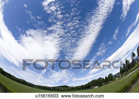 Field and sky, Tochigi Prefecture, Honshu, Japan View Large Photo Image Stock Image - Field and sky, Tochigi Prefecture, Honshu, Japan. Fotosearch