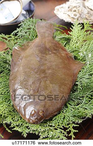 Flounder on bed of leaves View Large Photo Image Stock Photograph - Flounder on bed of leaves. Fotosearch