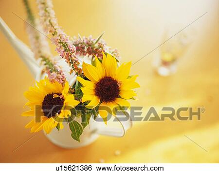 Stock Photograph - Flower arrangement in a watering can. Fotosearch