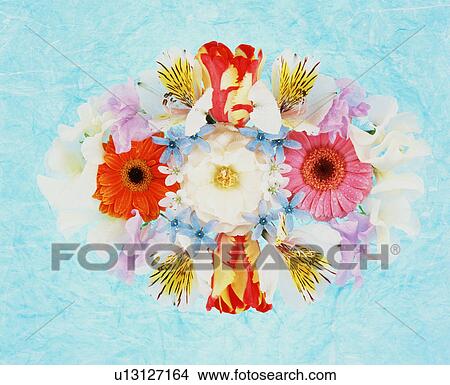 Flower Arrangement View Large Photo Image Picture - Flower Arrangement. Fotosearch