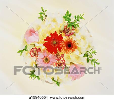 Picture - Flower Arrangement. Fotosearch