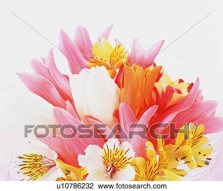 Stock Image - Flower Arrangement. Fotosearch