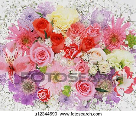 Stock Image - Flower Arrangement. Fotosearch