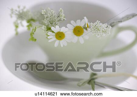Stock Image - Flower arrangement. Fotosearch