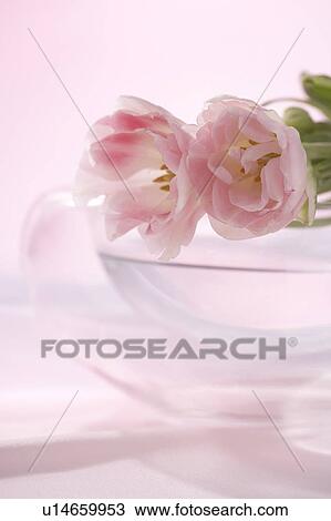Stock Image - Flower arrangement. Fotosearch