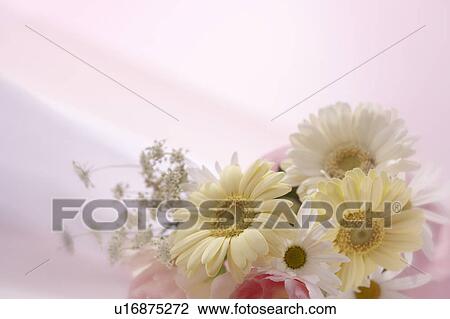 Stock Image - Flower arrangement. Fotosearch