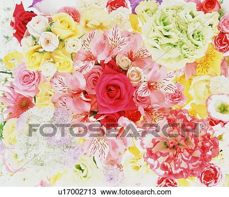 Stock Image - Flower Arrangement. Fotosearch