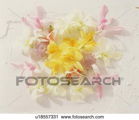 Stock Image - Flower Arrangement. Fotosearch