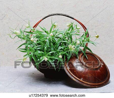 Stock Photo - Flower Arrangement. Fotosearch