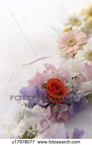 Flower arrangement View Large Photo Image Stock Photo - Flower arrangement. Fotosearch