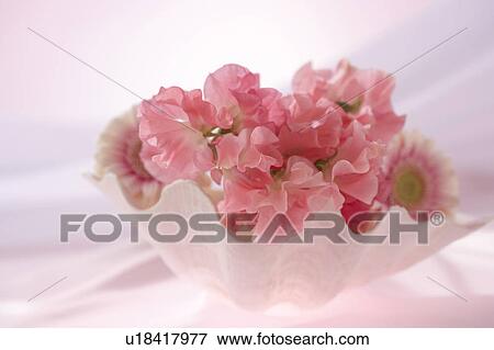Flower arrangement View Large Photo Image Stock Photo - Flower arrangement. Fotosearch